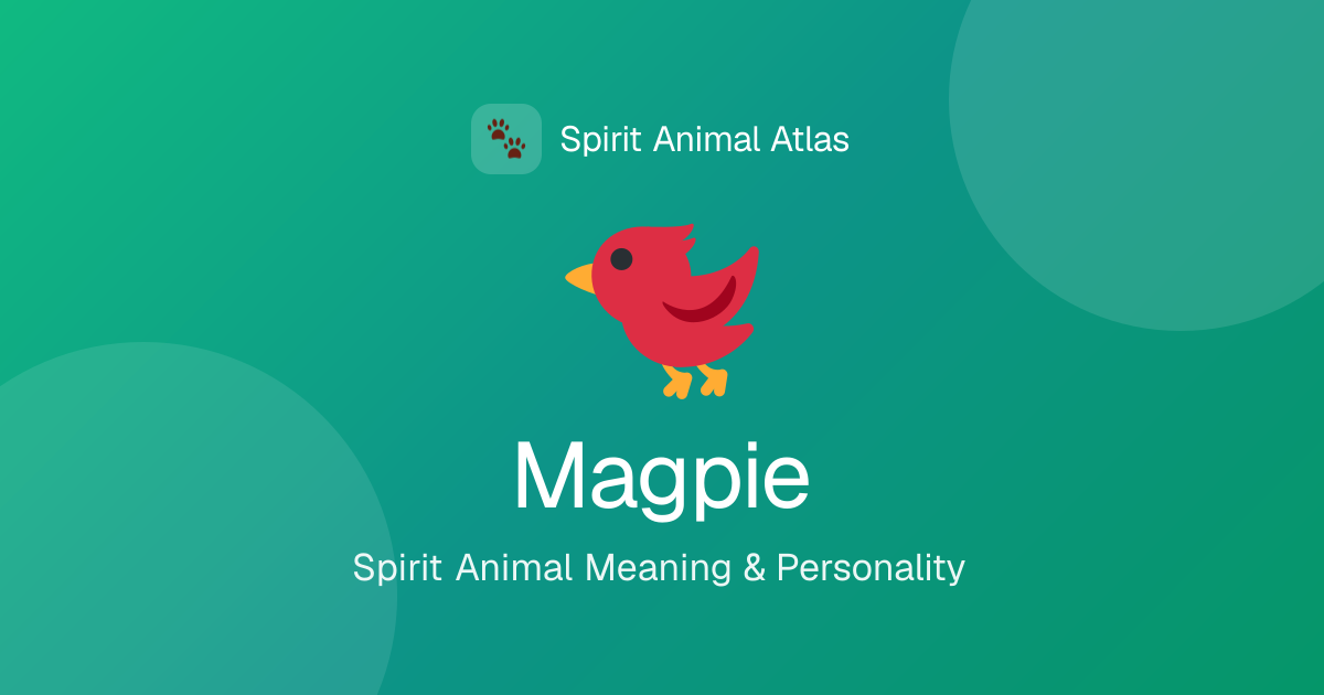 Magpie Personality: Traits, Meaning & Spirit Animal Guide | Spirit Animals