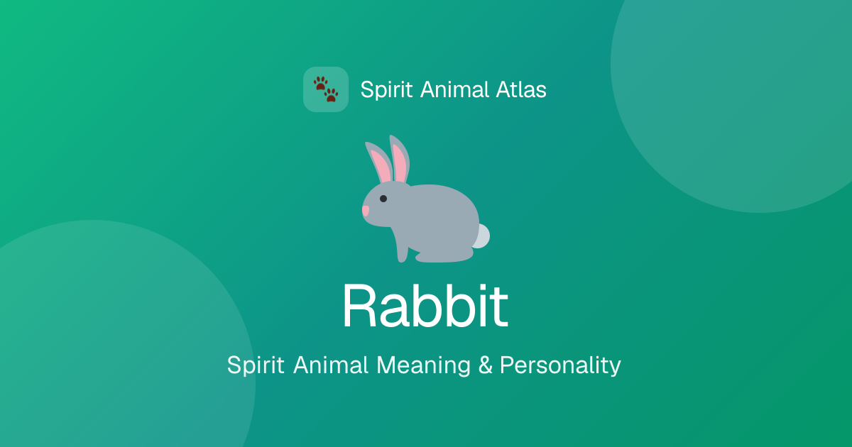 Rabbit Personality: Traits, Meaning & Spirit Animal Guide | Spirit Animals