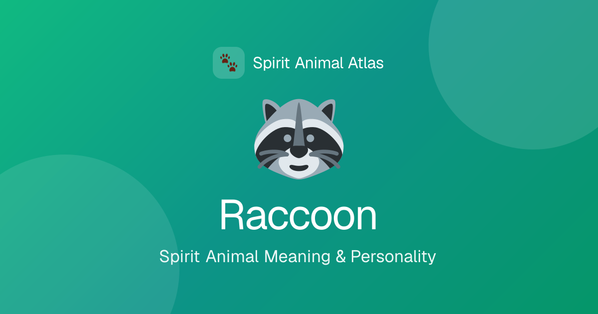 Raccoon Personality: Traits, Meaning & Spirit Animal Guide | Spirit Animals